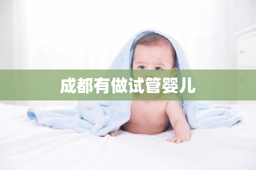 成都有做试管婴儿