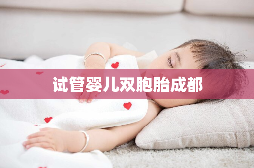 试管婴儿双胞胎成都