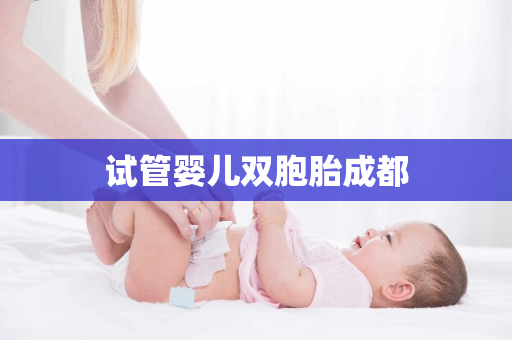 试管婴儿双胞胎成都