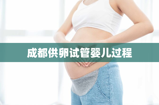 成都供卵试管婴儿过程