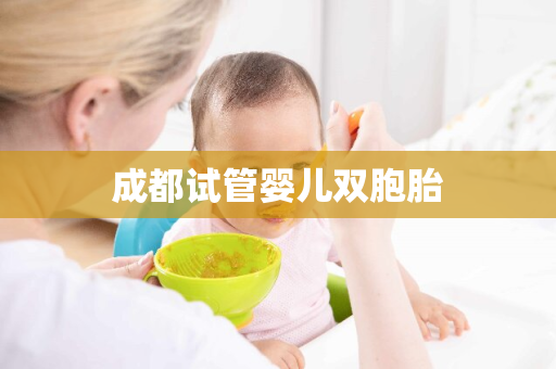 成都试管婴儿双胞胎