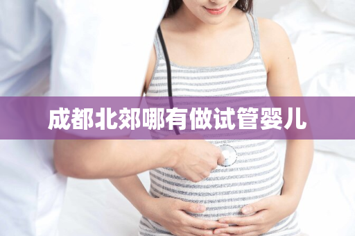 成都北郊哪有做试管婴儿