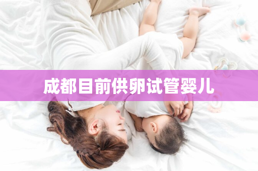 成都目前供卵试管婴儿