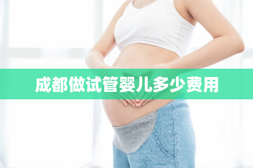 成都做试管婴儿多少费用