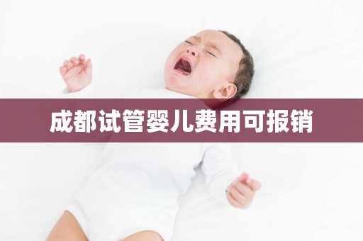 成都试管婴儿费用可报销