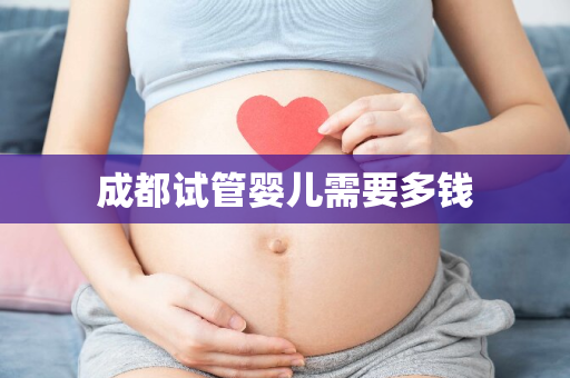 成都试管婴儿需要多钱