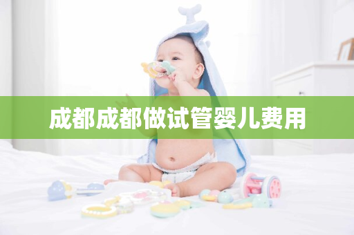 成都成都做试管婴儿费用