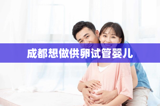 成都想做供卵试管婴儿