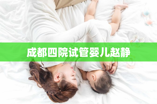 成都四院试管婴儿赵静