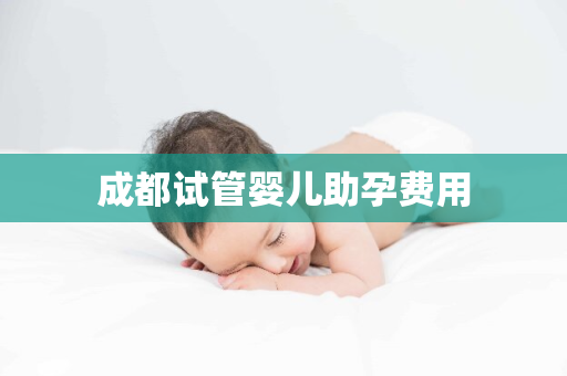 成都试管婴儿助孕费用