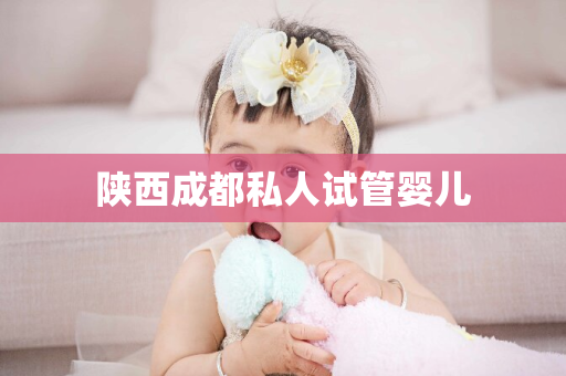 陕西成都私人试管婴儿