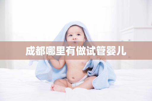 成都哪里有做试管婴儿