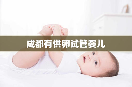 成都有供卵试管婴儿