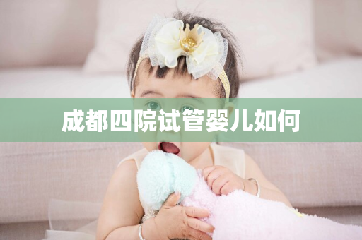 成都四院试管婴儿如何